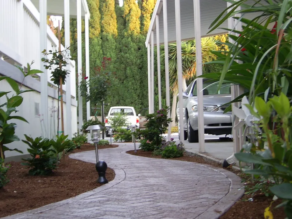 Slide of Handyman Hayse