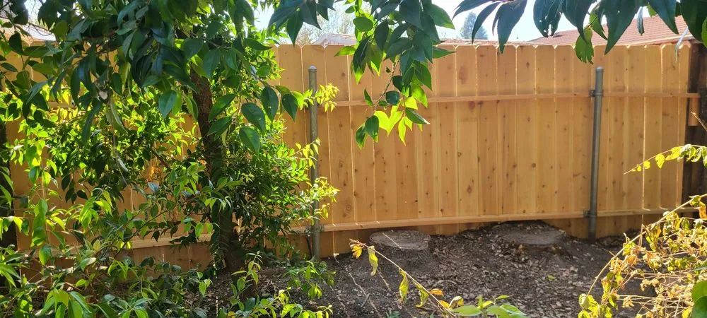 Slide of HANDYMAN KING