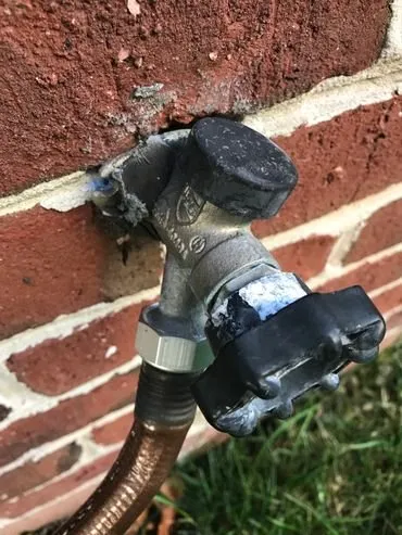 Slide of Handyman Kohnke