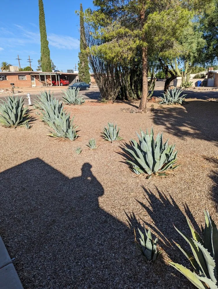 Slide of Handyman Lucky 7 Services