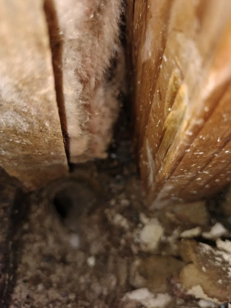 Emergency pipe repair experts serving Tucson, AZ - Handyman Lucky 7 Services