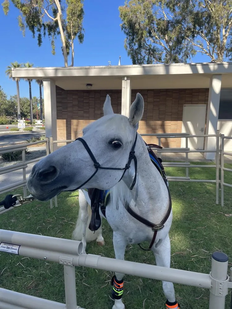 Slide of Handyman Near Me