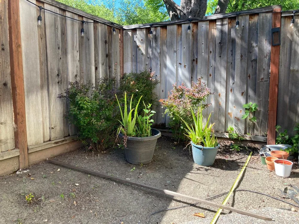 Slide of Handyman Neto