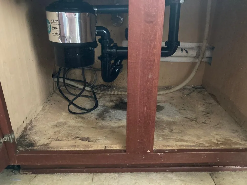 Slide of Handyman Neto