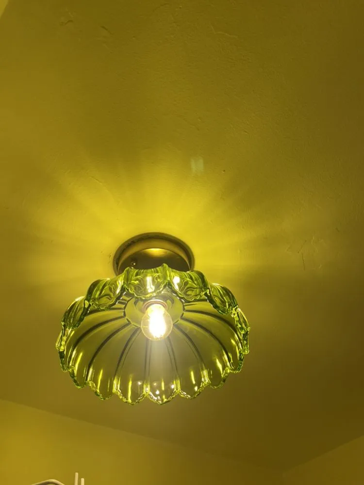 Slide of Handyman Next Door