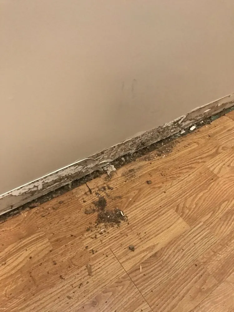 Slide of Handyman of Canton