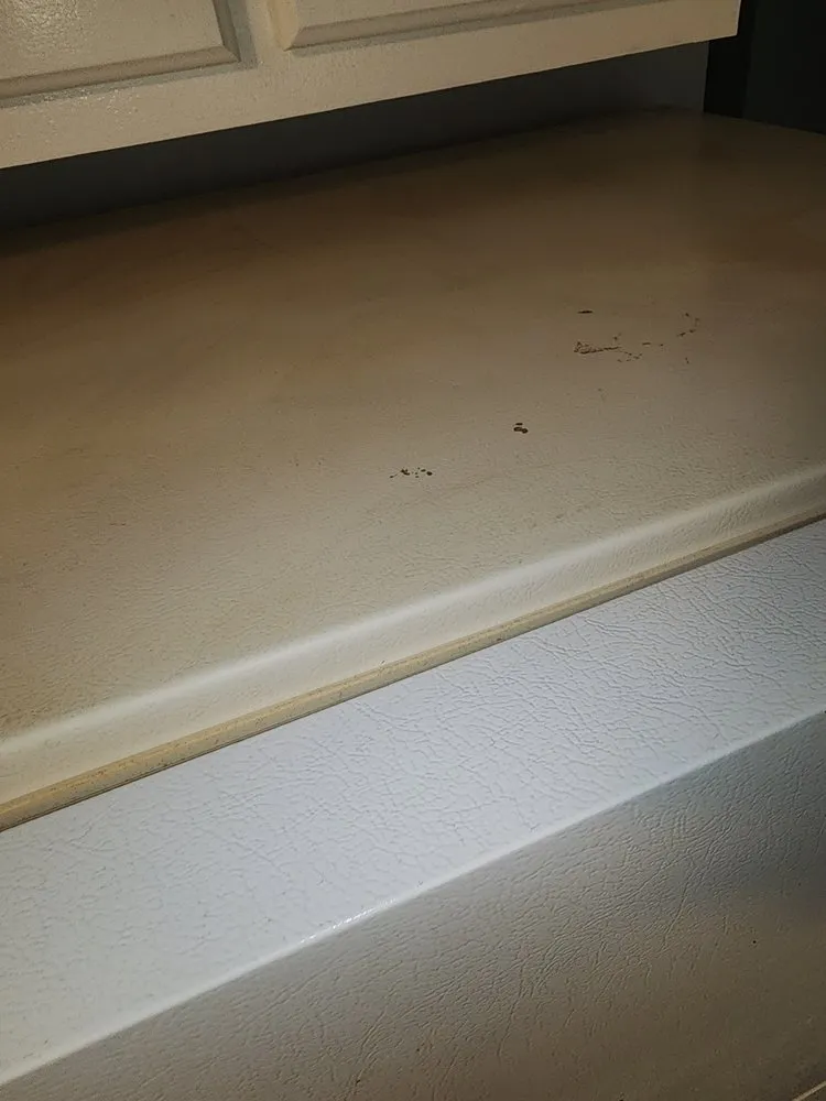 Professional leak detection experts serving Sanford, NC - Handyman of Triad