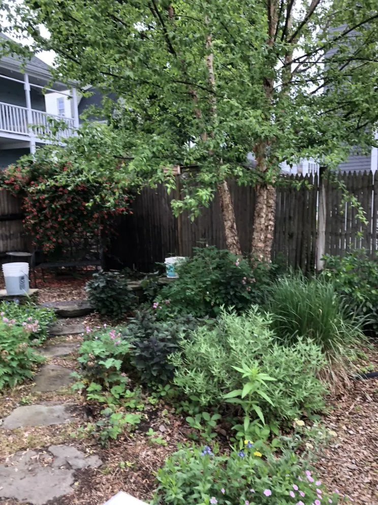 Expert pipe repair experts serving Arlington, MA - Handyman Paul G