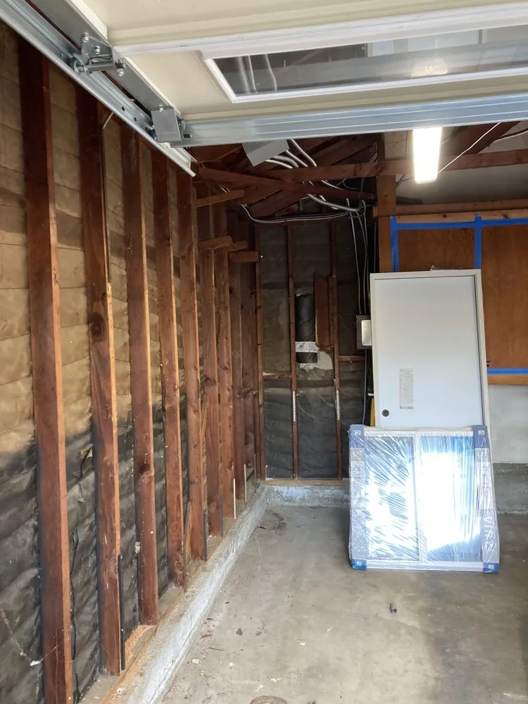 Slide of Handyman Pipit