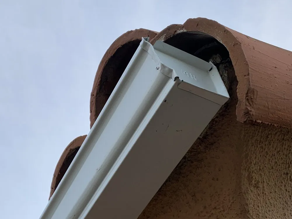 Slide of Handyman Pipit