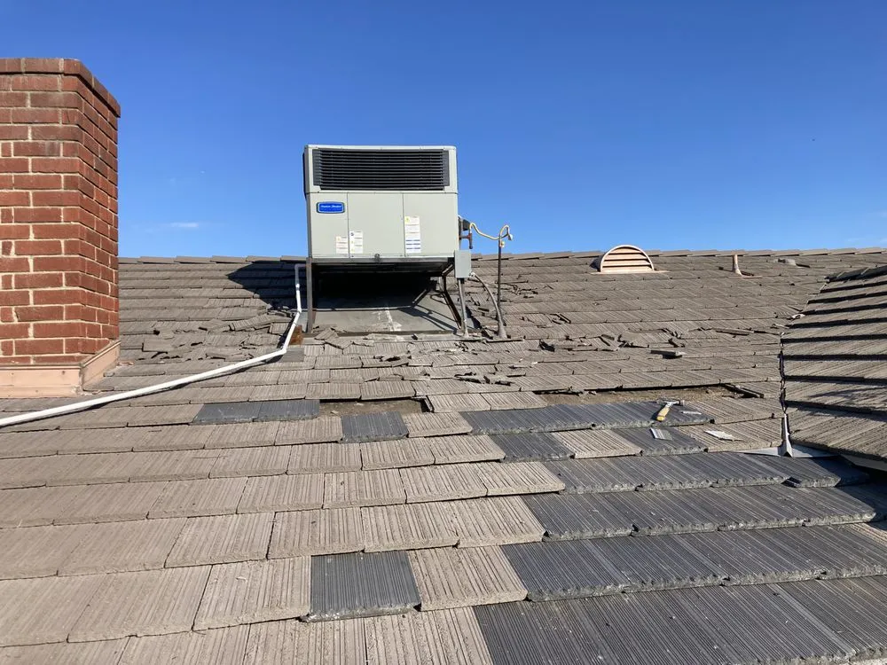 Slide of Handyman Pipit