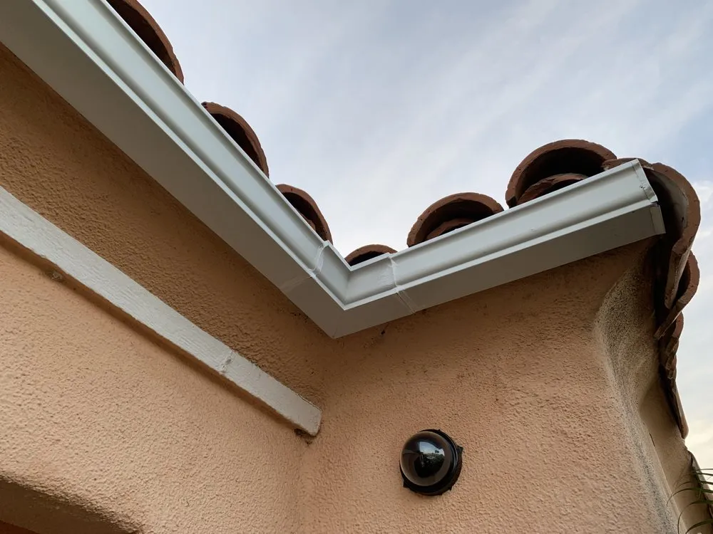 Slide of Handyman Pipit