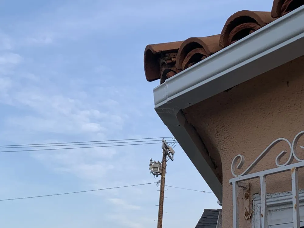 Slide of Handyman Pipit