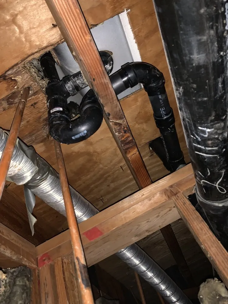 Slide of Handyman Pipit