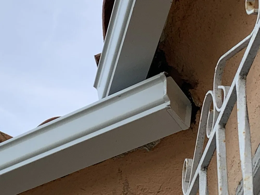 Slide of Handyman Pipit