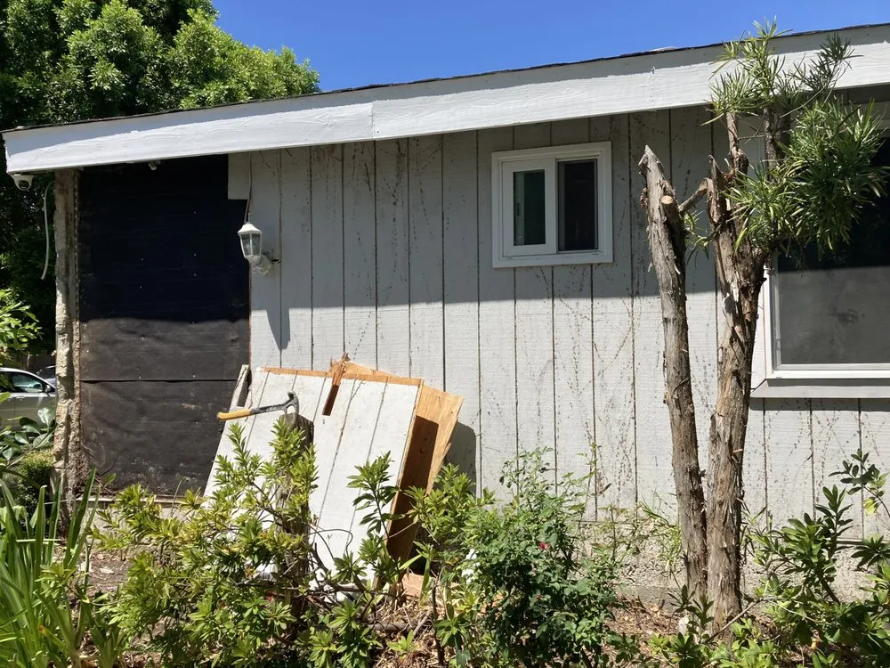 Slide of Handyman Pipit