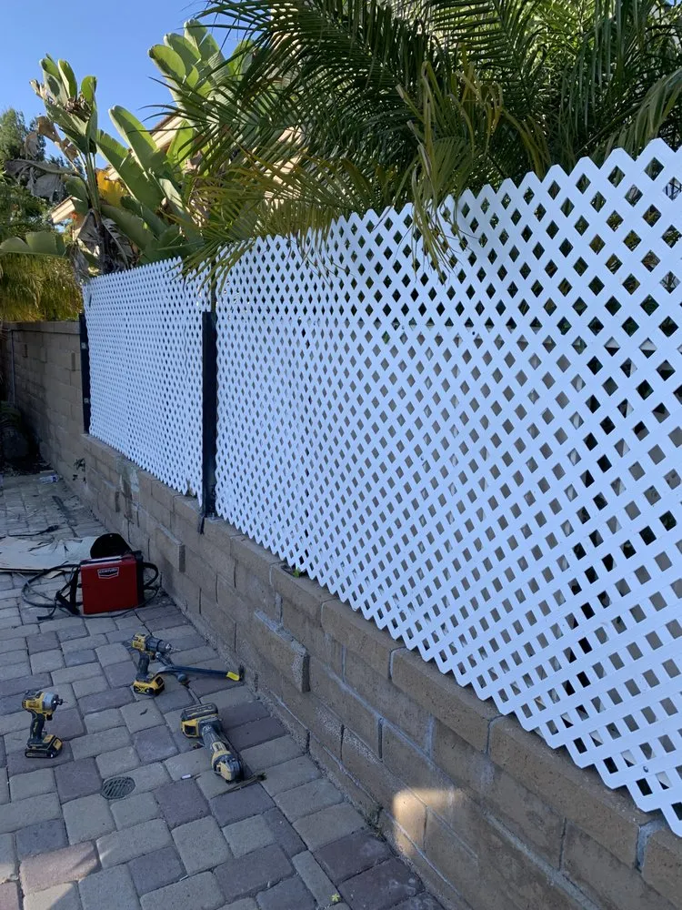 Slide of Handyman Pipit