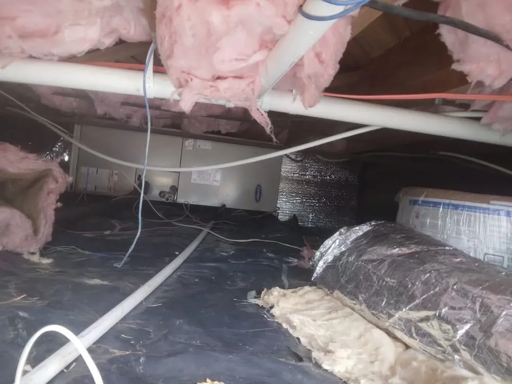 Slide of Handyman Plus