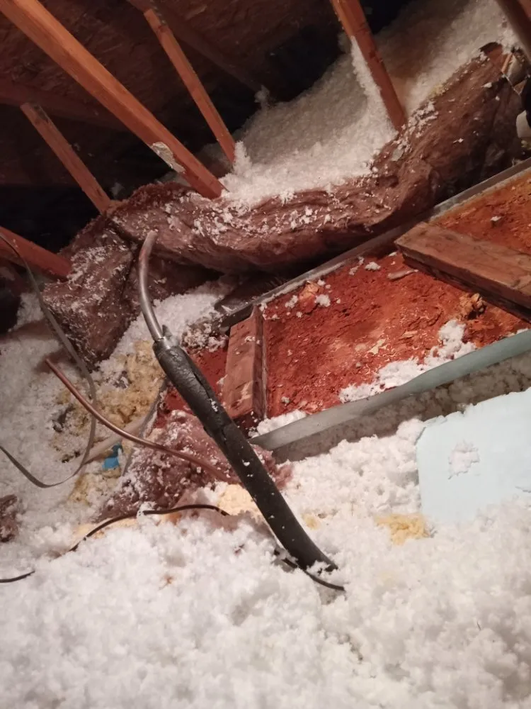 Slide of Handyman Plus