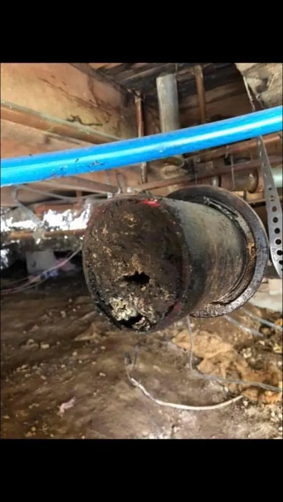 Slide of Handyman plus