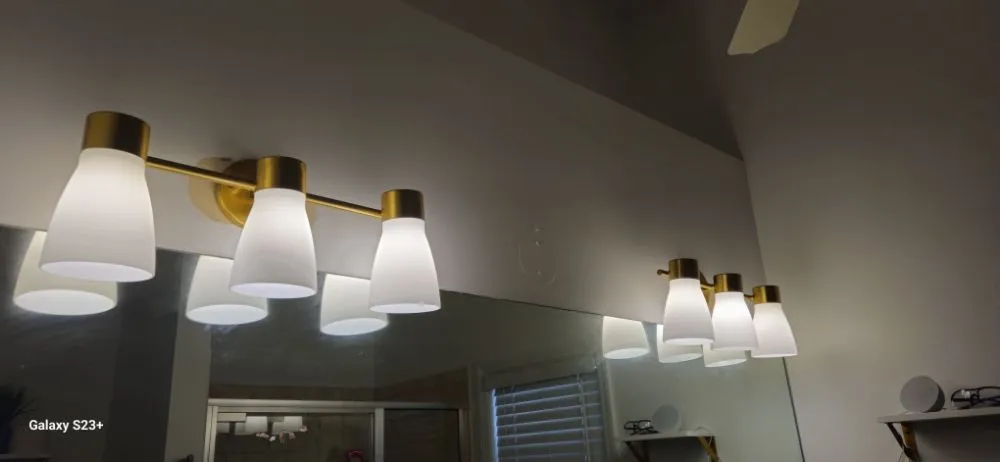 Slide of Handyman Ravee