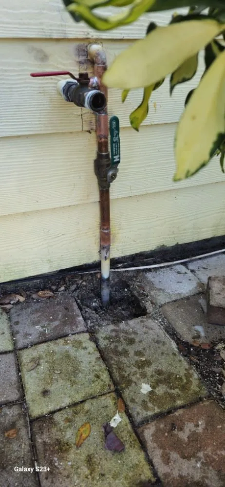 Slide of Handyman Ravee