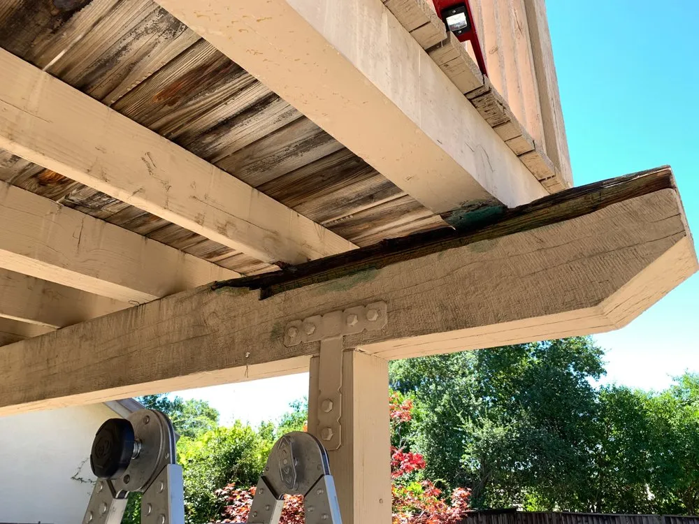 Slide of Handyman Reed