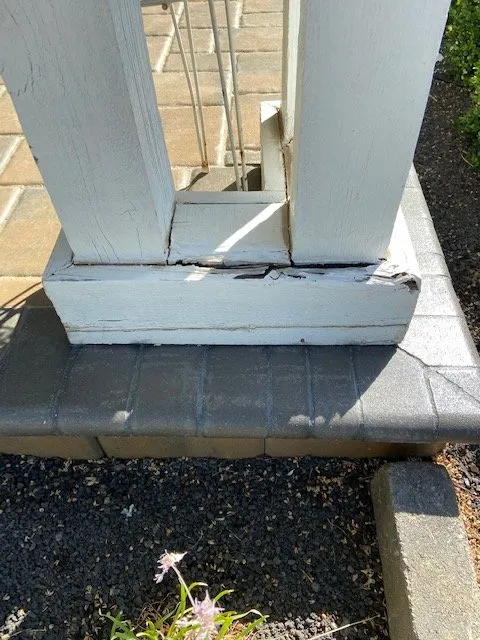 Slide of Handyman Reed