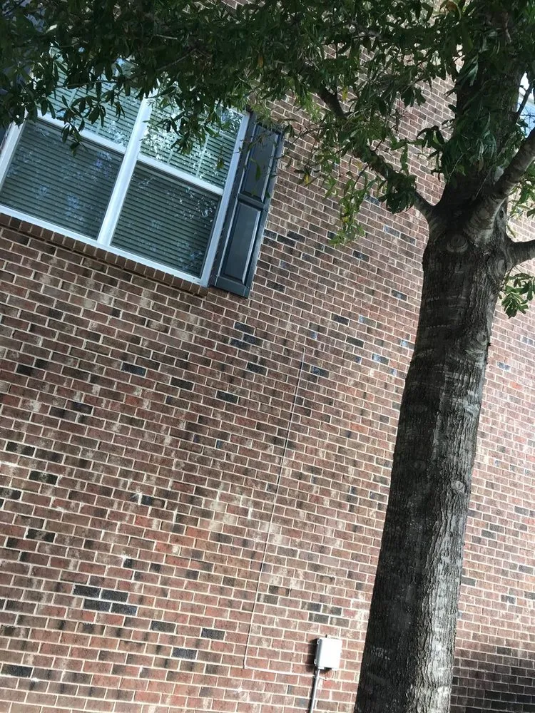 Slide of Handyman Ross