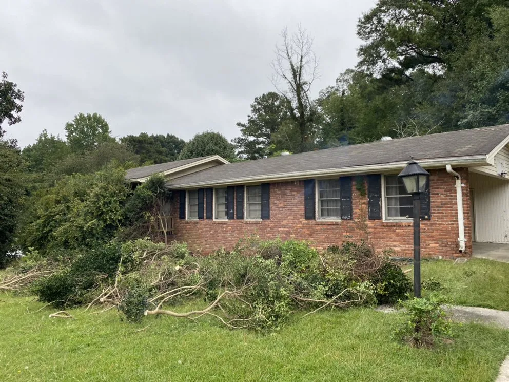 Slide of Handyman Ross