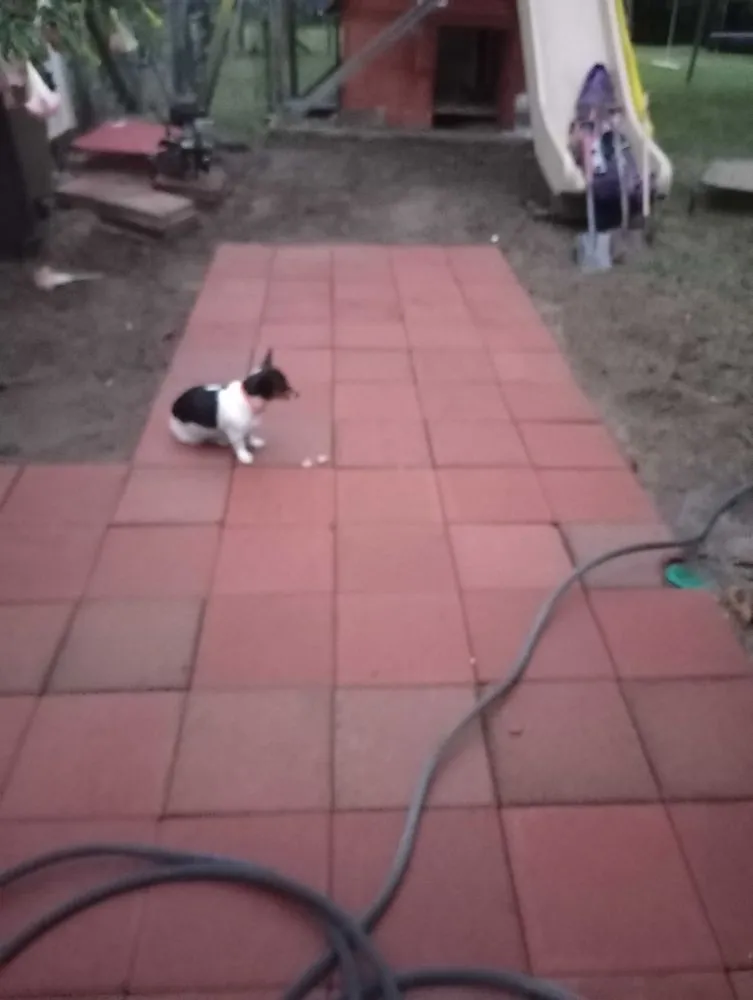 Slide of Handyman Services of Pompano