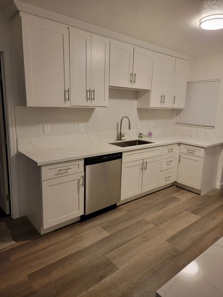 Slide of Handyman Vega