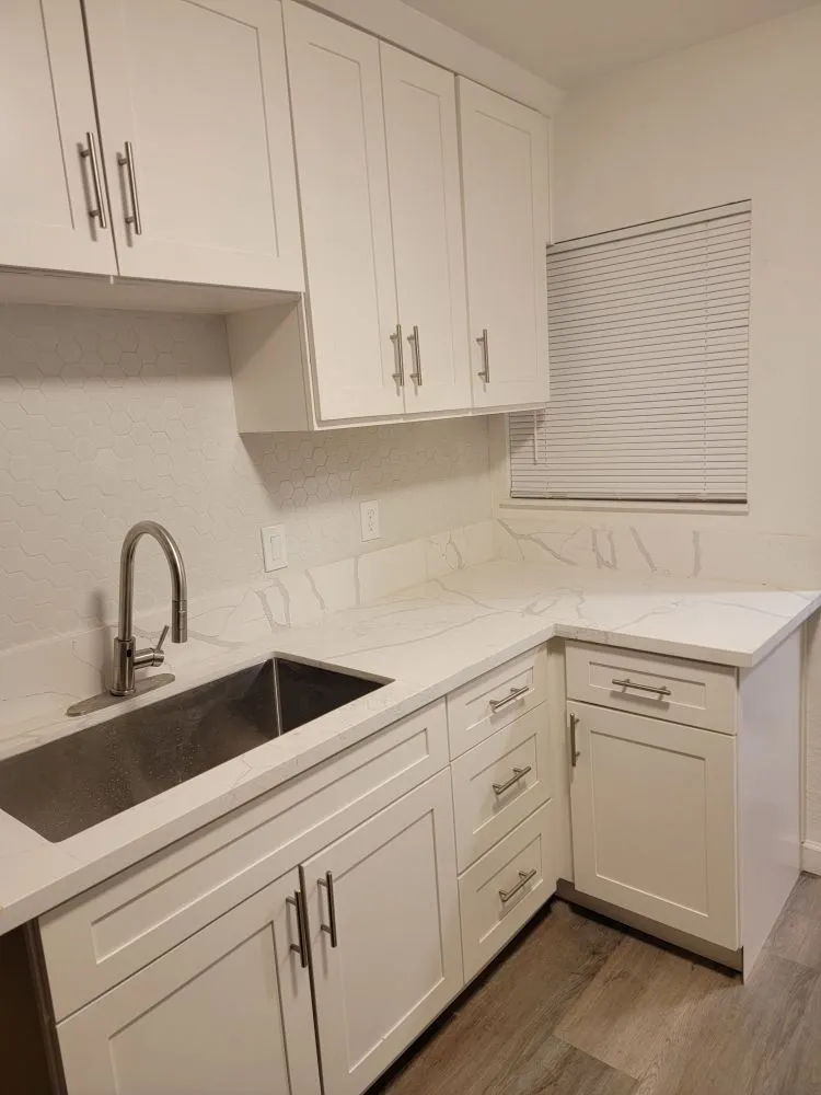 Slide of Handyman Vega