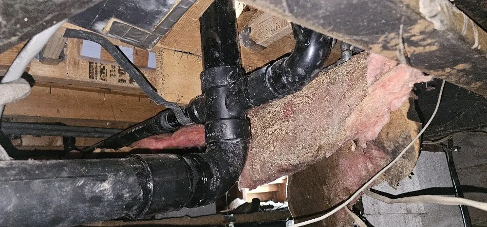 Slide of Handyman Will