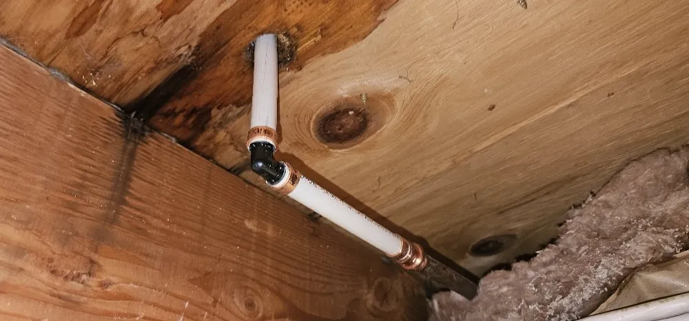 Slide of Handyman Will