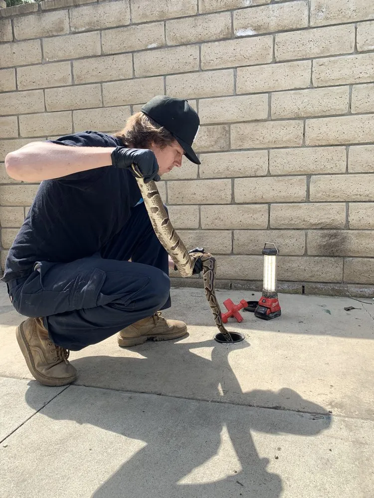 Slide of Hansen’s Sewer And Drain