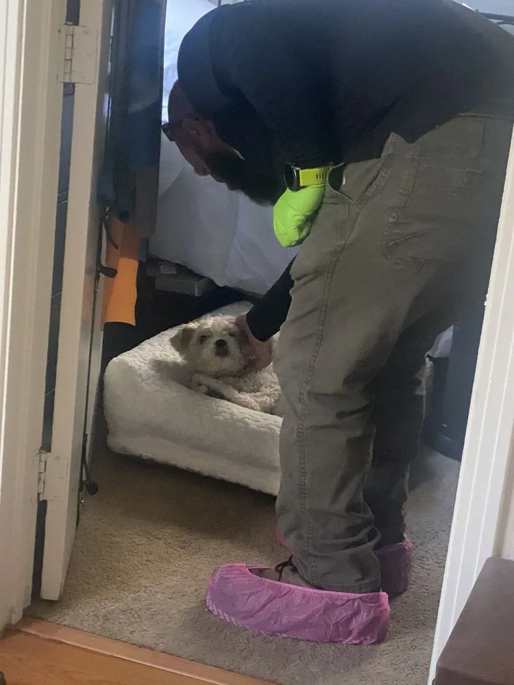 Slide of Happy Dog Plumbers