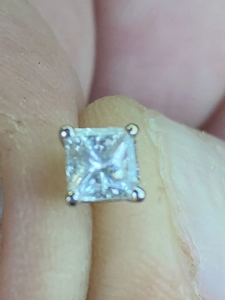 Slide of Happy Rooter