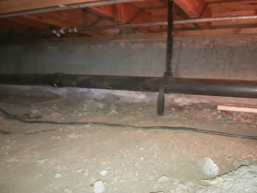 Slide of Happy Rooter