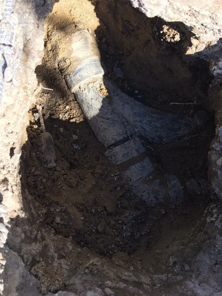 Slide of Happy Rooter