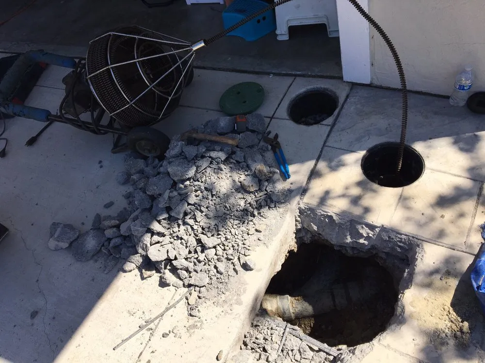 Slide of Happy Rooter