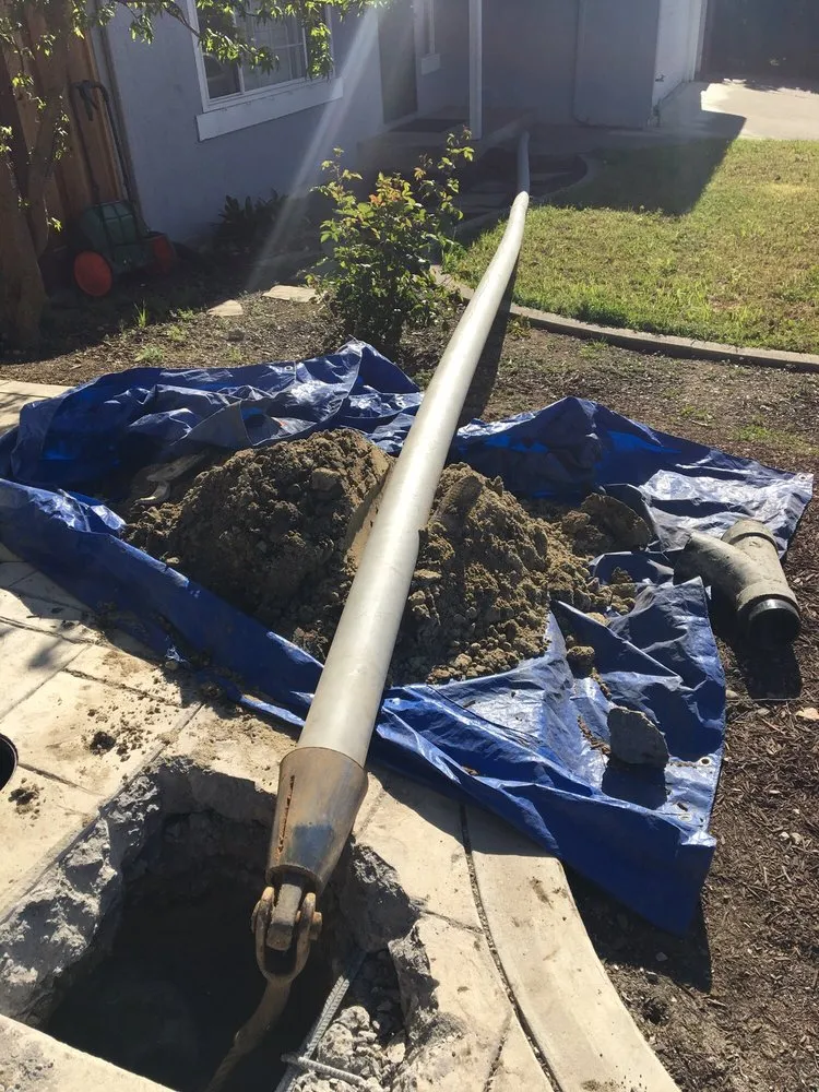 Slide of Happy Rooter