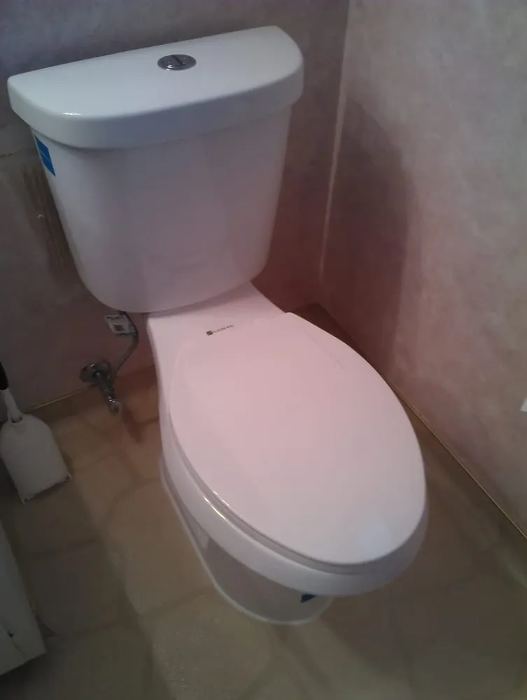 Slide of Happy Rooter