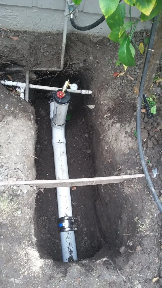 Slide of Happy Rooter