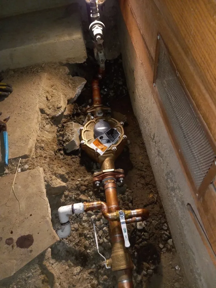 Slide of Happy Rooter