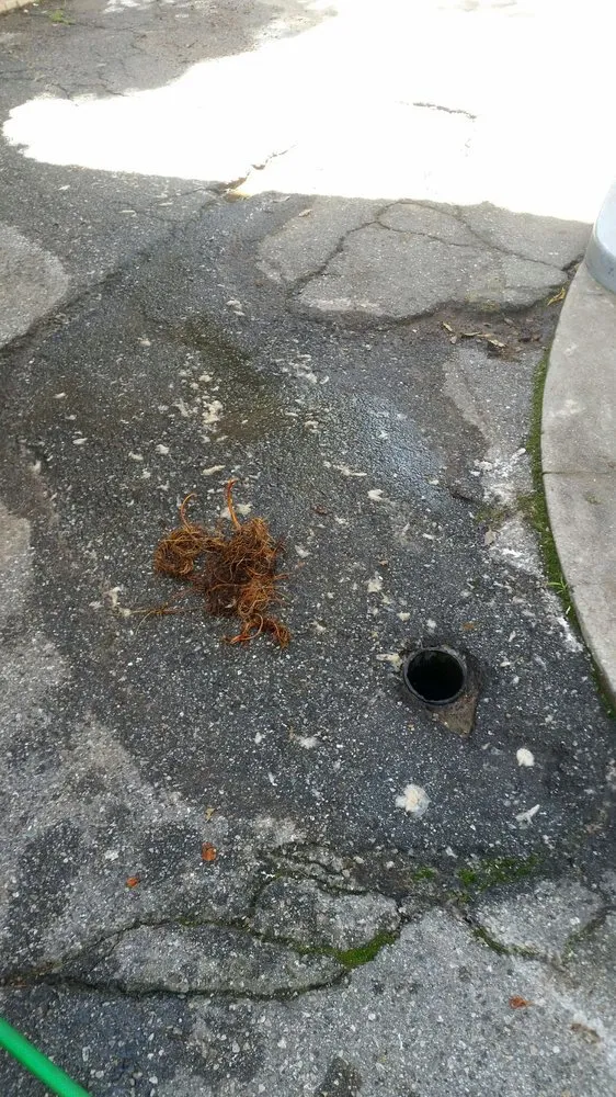 Slide of Happy Sam's Plumbing