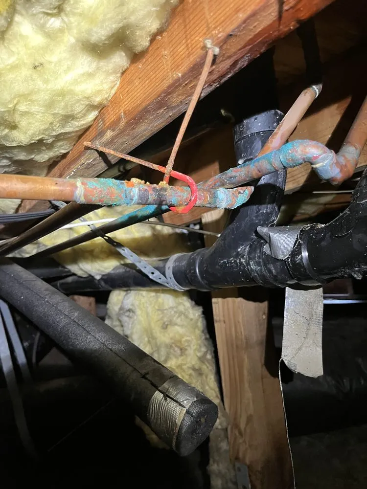 Slide of Happy Sam's Plumbing