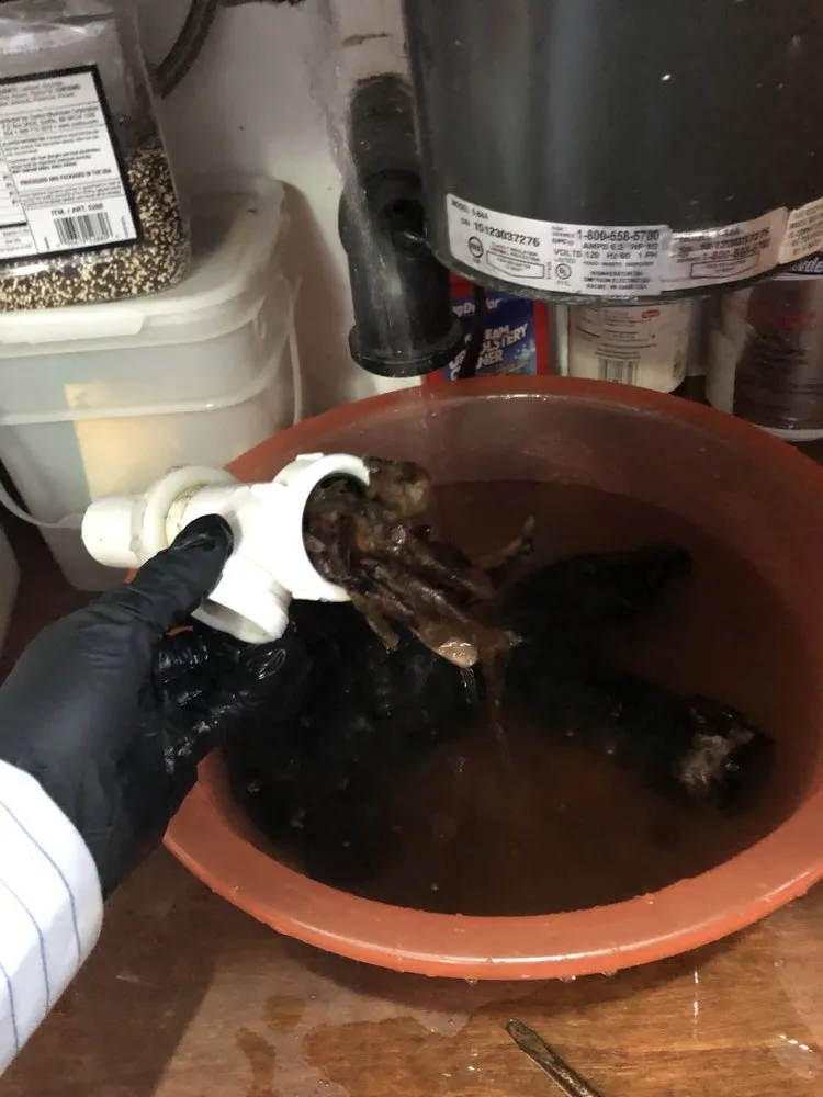 Expert emergency plumbing in Long Beach, CA by Harbor Rooter & Plumbing Services