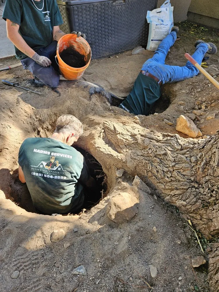 Slide of Harms Services