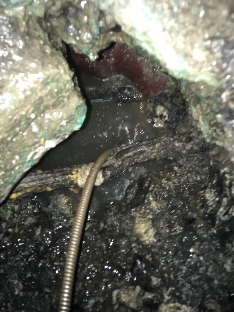 Slide of Harold's Rooter Service